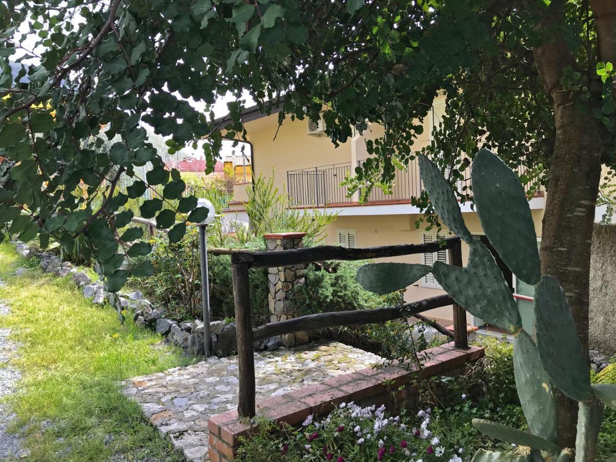 B&B Villa Degli Ulivi Praia a Mare Exterior foto