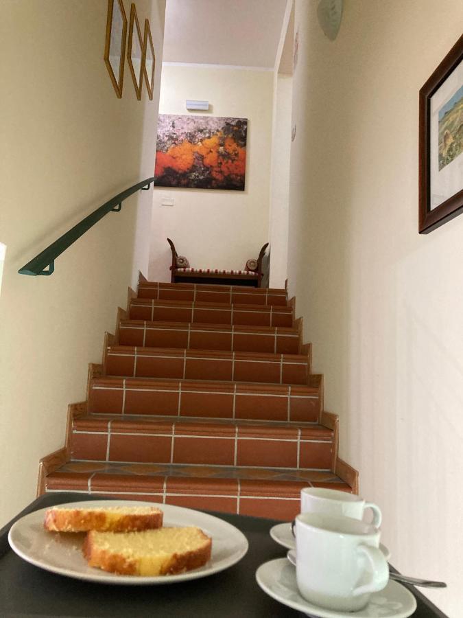 B&B Villa Degli Ulivi Praia a Mare Exterior foto
